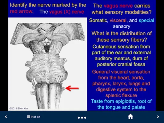 Neuroanatomy - SecondLook android App screenshot 1